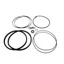 Dichtsatz zu Abdrückzylinder...